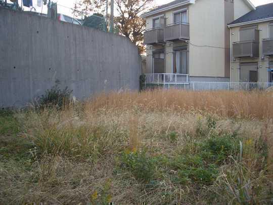 Local land photo. Local Photos