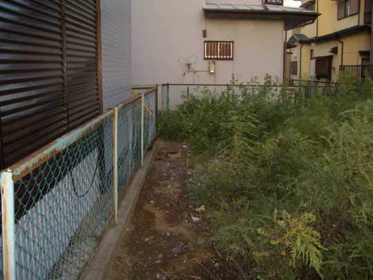 Local land photo. Local Photos