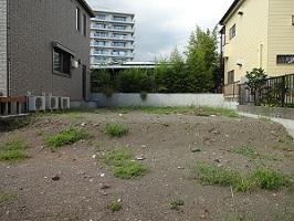 Local photos, including front road