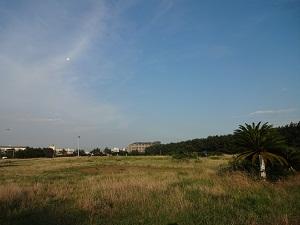 park. As of 210m Shonan coast of the name until the Shonan coast park, In the park near the sea, Sea breeze is drifting. The park has been arranged so as to concentrate the playground equipment in north central.