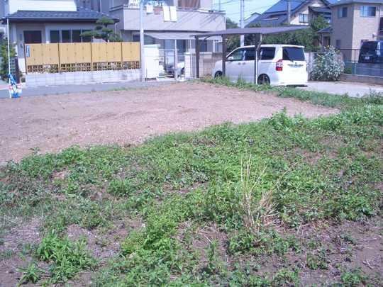 Local land photo. Local Photos