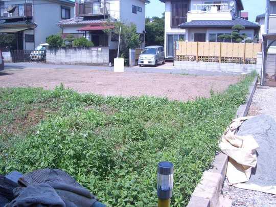 Local land photo. Local Photos