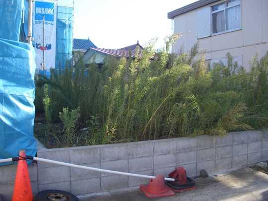 Local land photo. Local Photos