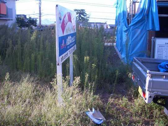 Local land photo. Local Photos