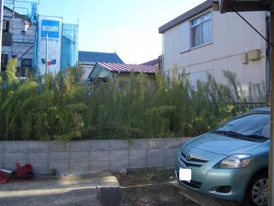 Local land photo. Local Photos