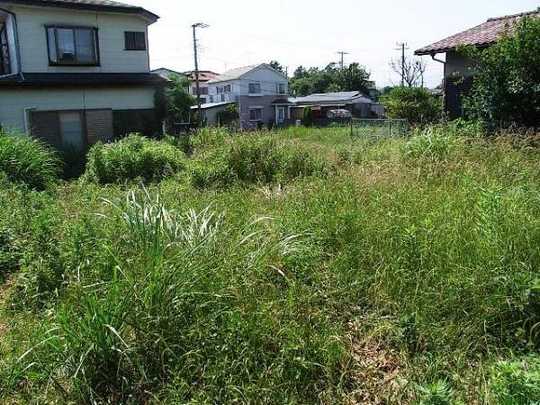 Local land photo. appearance