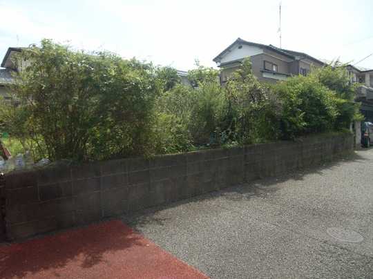 Local land photo. appearance.  2013 November shooting.