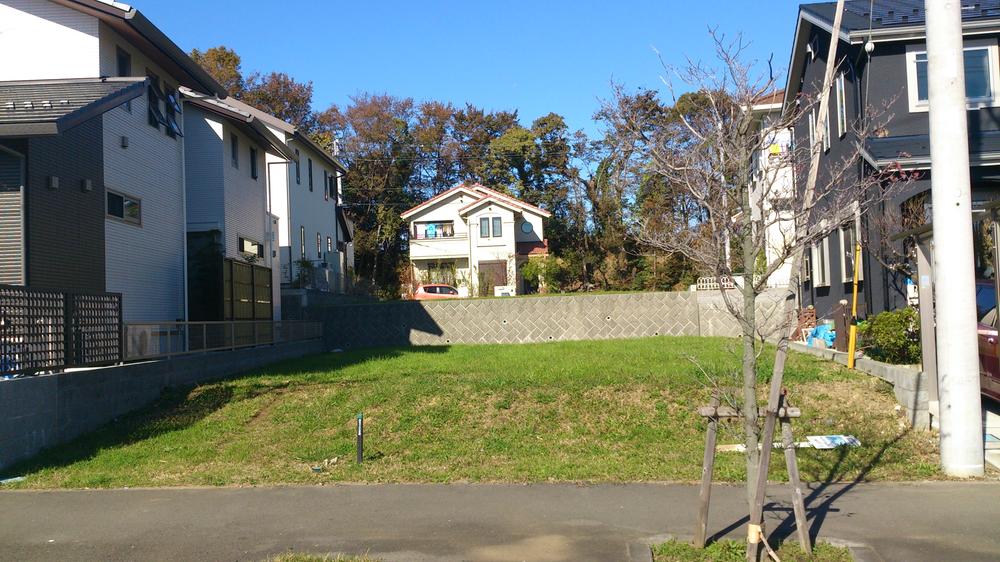 Local land photo. Compartment: 1-4-6