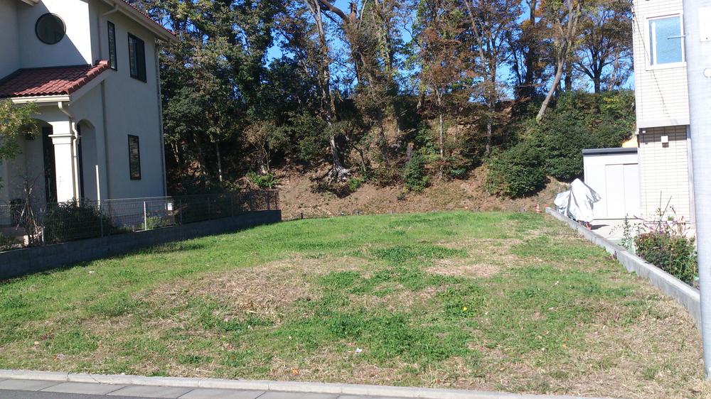 Local land photo. Compartment: 1-1-8