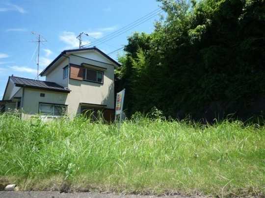 Local land photo. Local Photos (1)