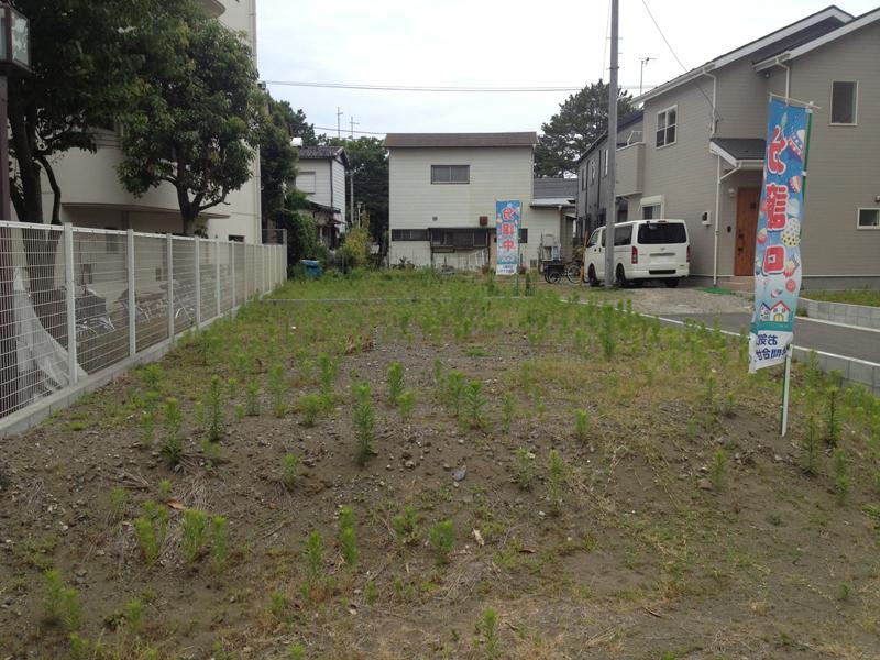 Local land photo. local