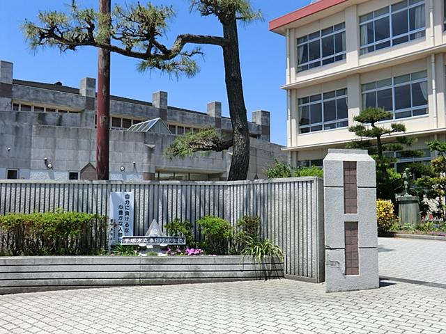 Other. Junior high school