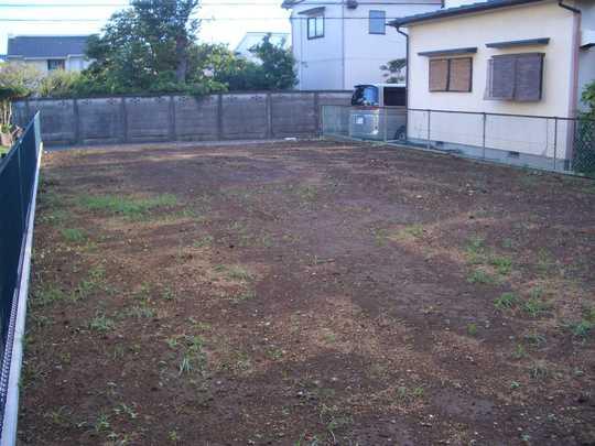 Local land photo. Local Photos