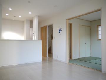 Living. Indoor (11 May 2013) Shooting