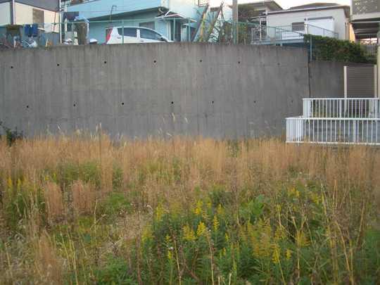 Local land photo. Local Photos