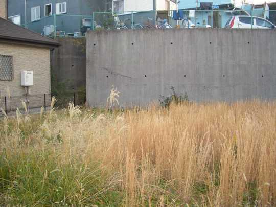 Local land photo. Local Photos