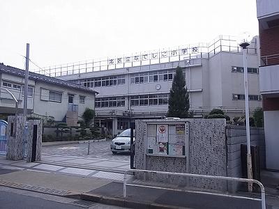 Primary school. Nadeshiko 1000m up to elementary school