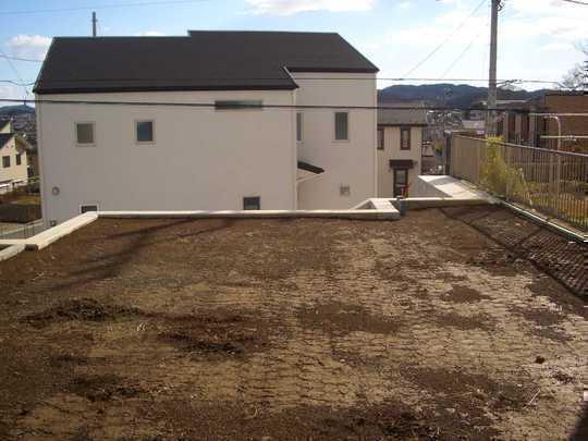 Local land photo. Local Photos