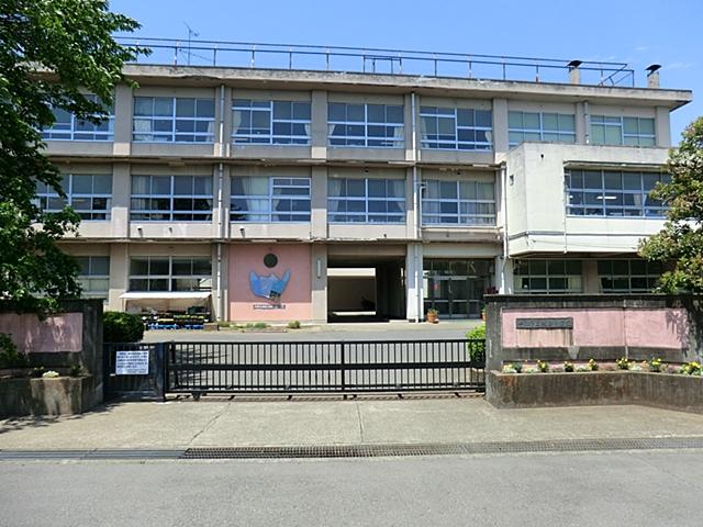 Other. Primary school