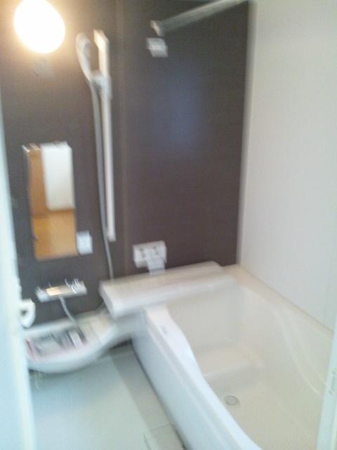 Bathroom. Indoor (December 9, 2013) Shooting