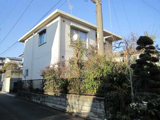 Local land photo. Appearance (1)