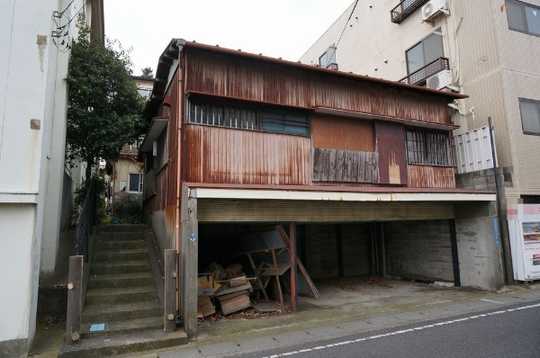 Local land photo. Appearance (1)