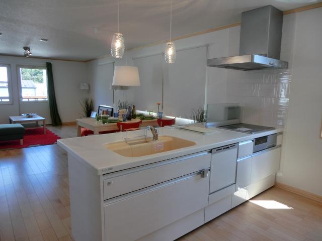 Kitchen. Room (August 2013) Shooting