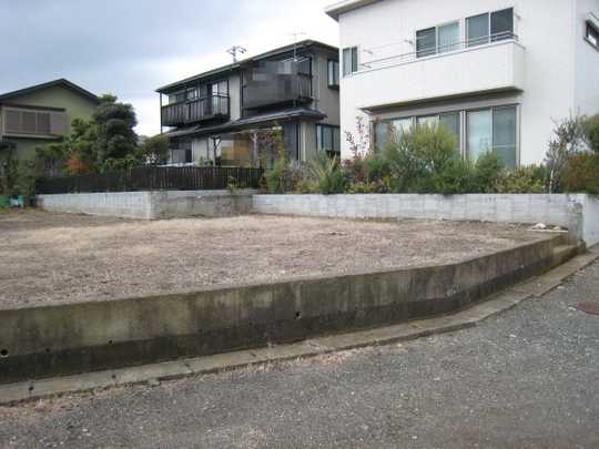 Local land photo. Appearance (1)