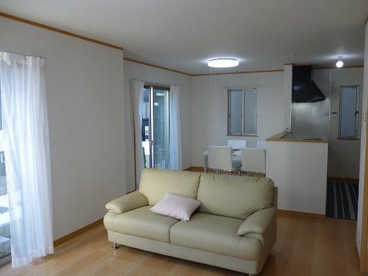 Same specifications photos (living). Example of construction