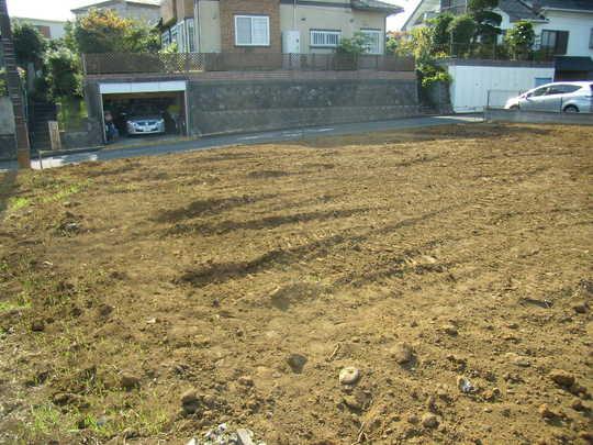 Local land photo. Local Photos