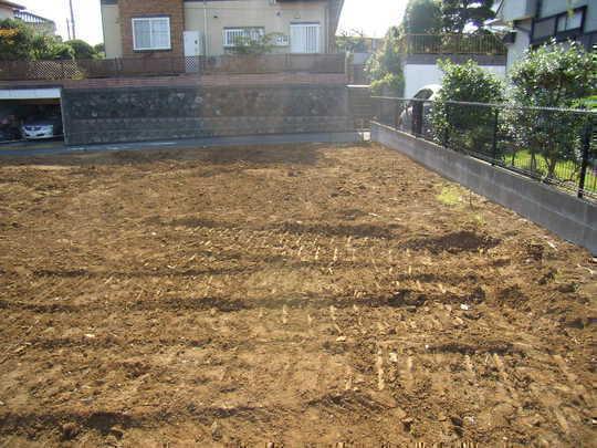 Local land photo. Local Photos