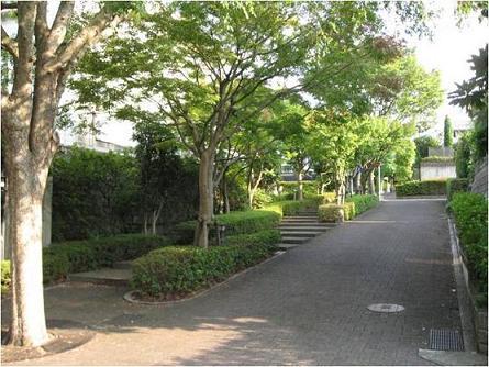 Other. Aging landscaped green road is beautiful cityscape. Not Kenta high buildings and shops, etc. depending on the application area and building agreement, Is the best environment in the construction of housing.