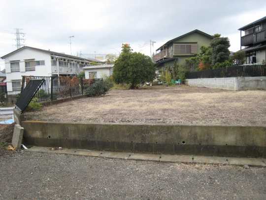 Local land photo. Appearance (1)