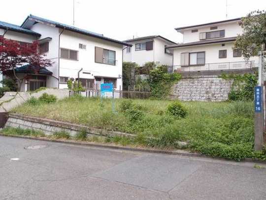 Local land photo. Local Photos