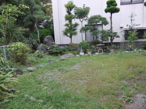 Local land photo. local