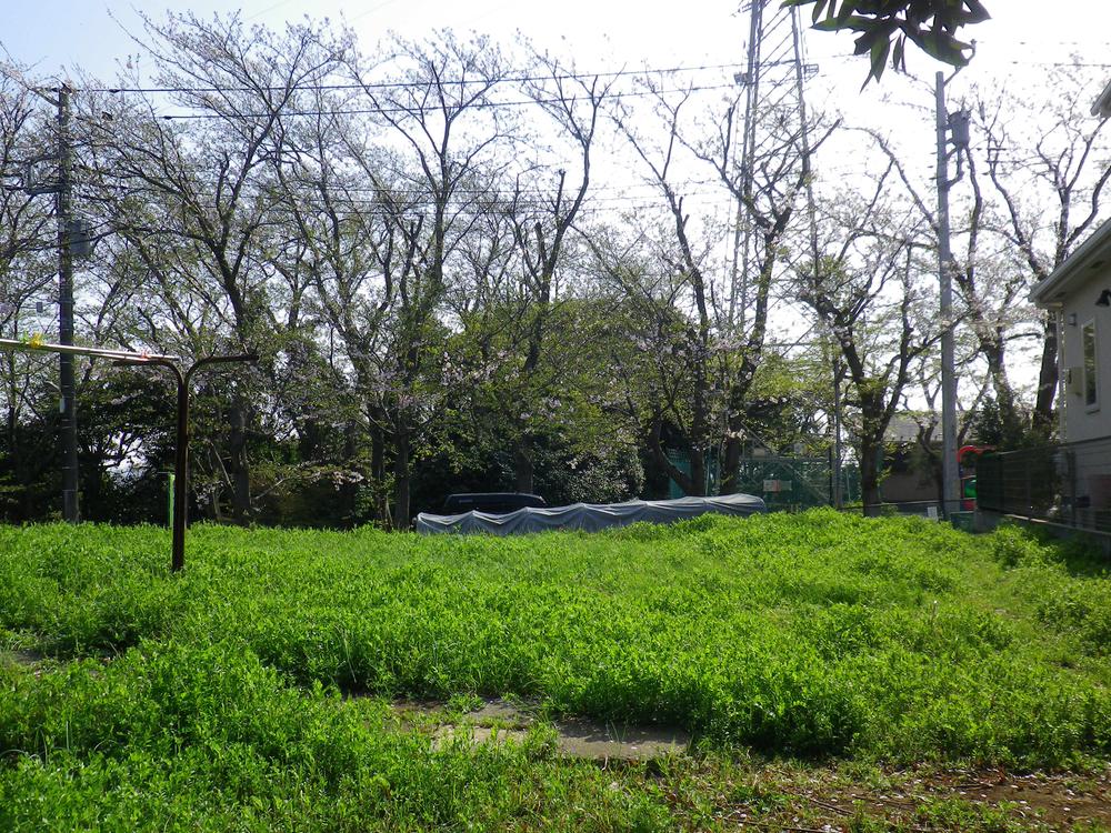 Local land photo. Local (April 2013) Shooting