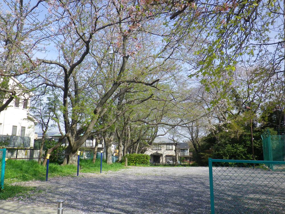 Other. Near Yamayuri children amusement (April 2013) Shooting