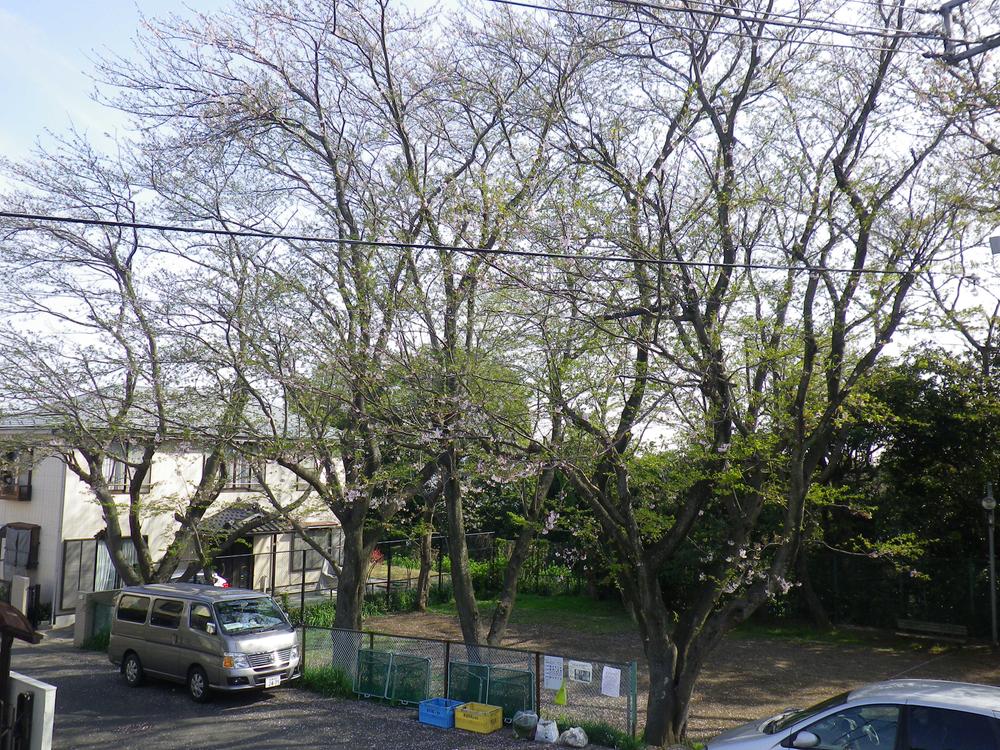 View photos from the local. View from local (April 2013) Shooting