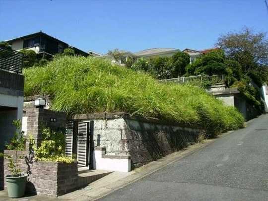 Local land photo. local