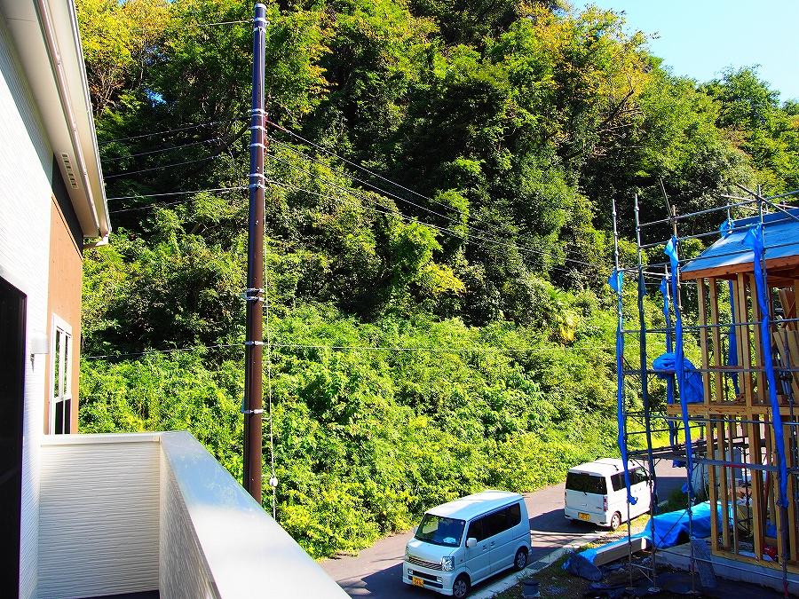 Balcony. Carefree landscape is out on the balcony is to spread the chirping of birds.