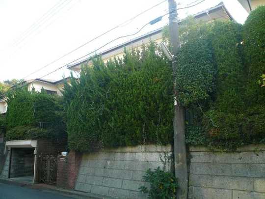 Local land photo. Local Photos. There current state Furuya (present condition delivery)