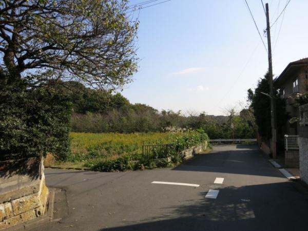 Local photos, including front road