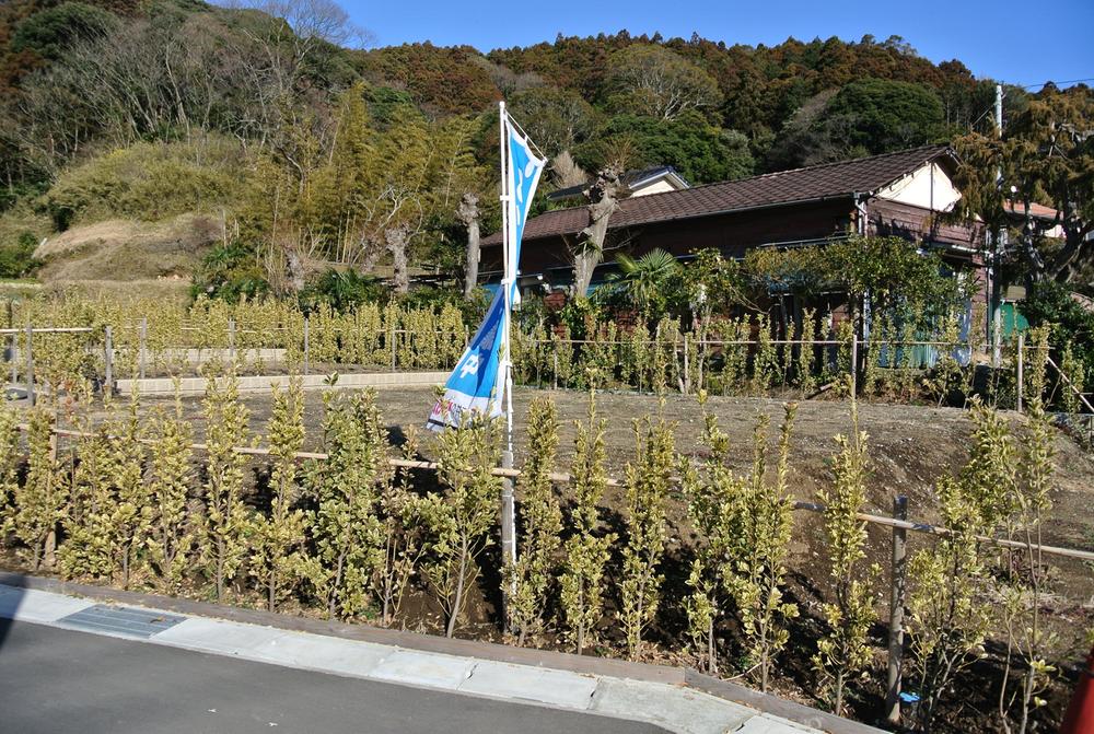 Local land photo. Local (February 2013) Shooting