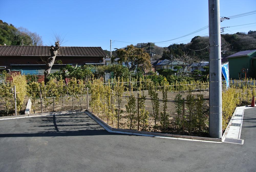 Other local. Local (February 2013) Shooting