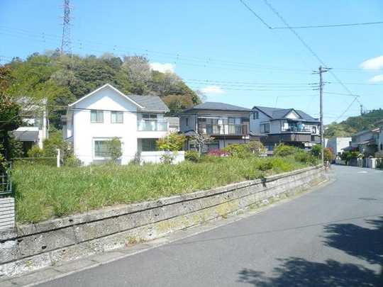 Local land photo. Local Photos