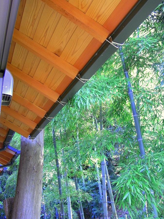 Local appearance photo. A eaves architecture. Borrowed landscape of bamboo forest is also great.