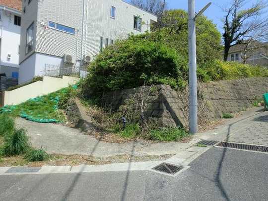 Local land photo. Local state