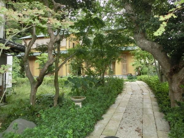 Local photos, including front road