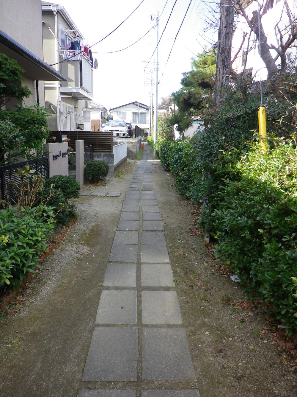 Local photos, including front road. Local (January 2012) shooting