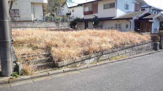 Local land photo. Local Photos